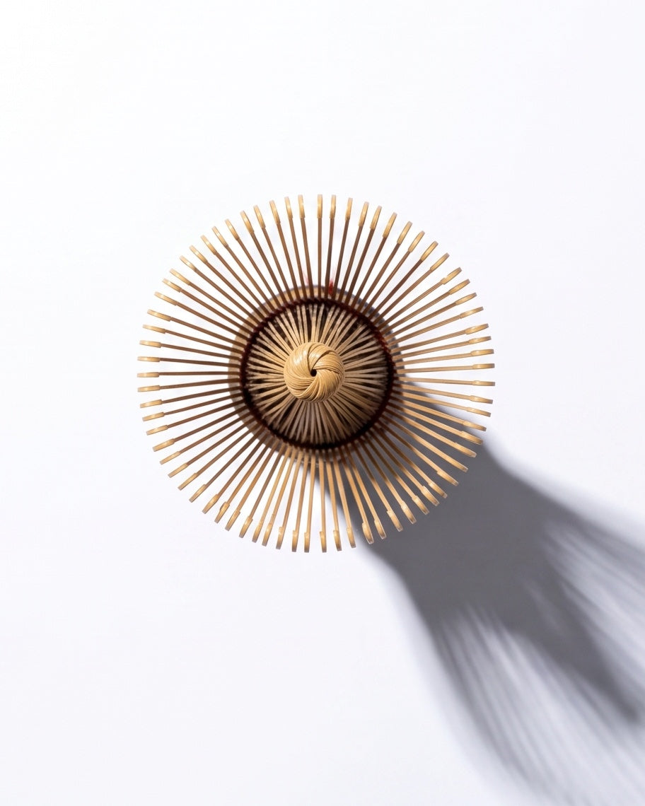 THE WHISK - CHASEN